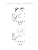 ANIMAL MODEL OF AUTISM diagram and image