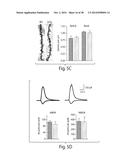 ANIMAL MODEL OF AUTISM diagram and image