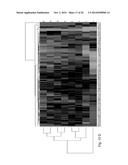 MUTANT PROTEASE BIOSENSORS WITH ENHANCED DETECTION CHARACTERISTICS diagram and image