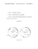 TRANSGENIC CHICKENS WITH AN INACTIVATED ENDOGENOUS GENE LOCUS diagram and image