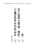 TRANSGENIC CHICKENS WITH AN INACTIVATED ENDOGENOUS GENE LOCUS diagram and image