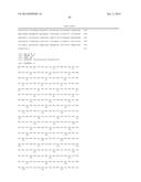 PROTEIN HAVING NUCLEASE ACTIVITY, FUSION PROTEINS AND USES THEREOF diagram and image