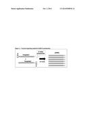 NUCLEIC ACID MOLECULES THAT CONFER RESISTANCE TO COLEOPTERAN PESTS diagram and image