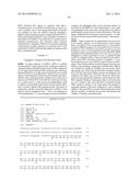 NUCLEIC ACID MOLECULES THAT CONFER RESISTANCE TO COLEOPTERAN PESTS diagram and image