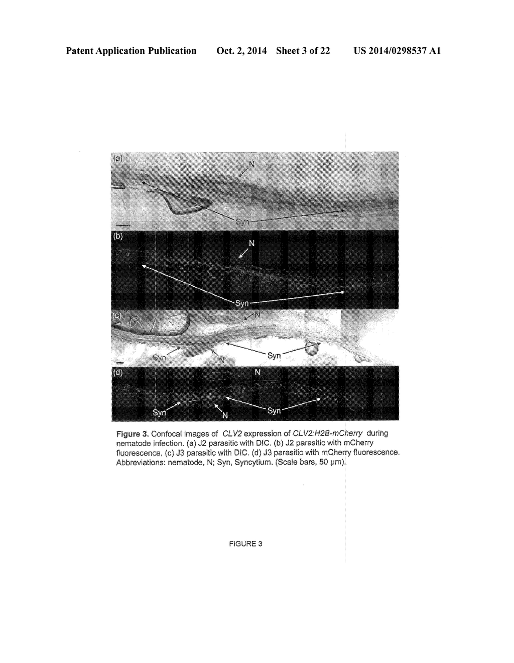 Crop Resistance to Nematodes - diagram, schematic, and image 04