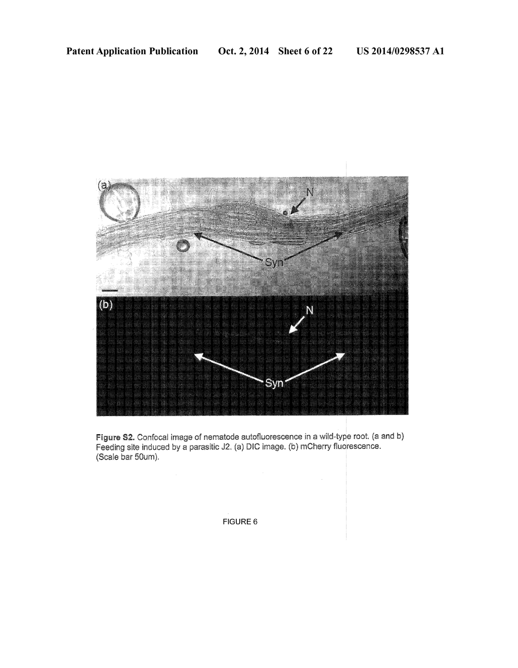 Crop Resistance to Nematodes - diagram, schematic, and image 07