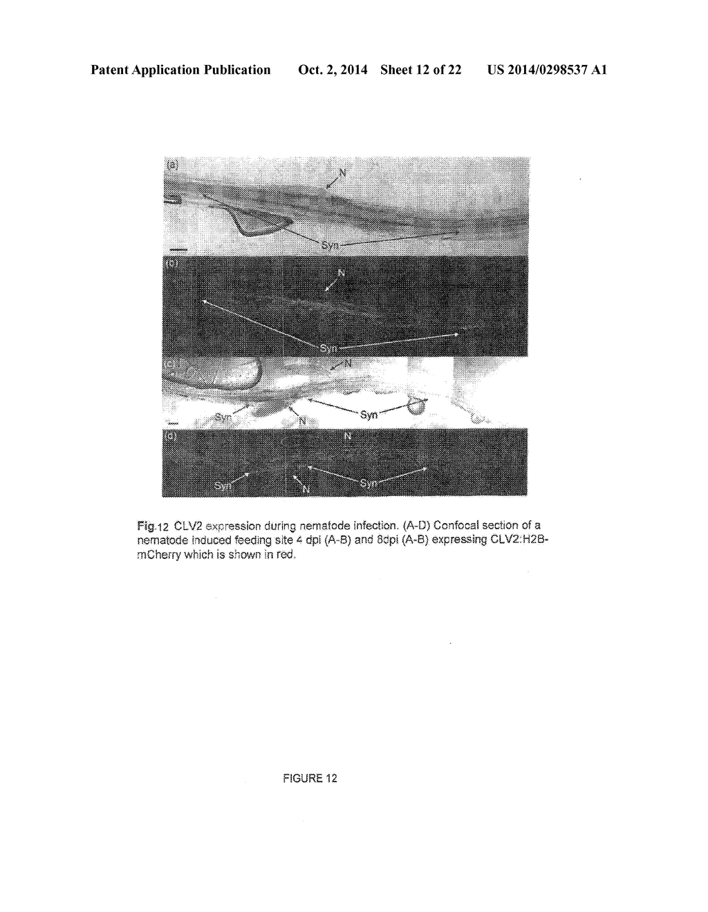 Crop Resistance to Nematodes - diagram, schematic, and image 13