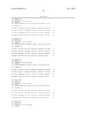 DNA DETECTION METHODS FOR SITE SPECIFIC NUCLEASE ACTIVITY diagram and image