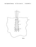 DELAYED-ACTIVATION, HYDRATION MAINTENANCE APPARATUS AND METHOD diagram and image