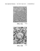 MANUFACTURE OF MEDICINAL AEROSOL CANISTERS diagram and image