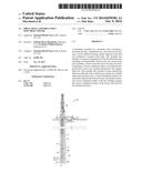 Drive Shaft Assembly for a Downhole Motor diagram and image