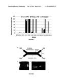 EXTRACTION OF METALS diagram and image