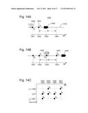 ACQUISITION SYSTEM AND METHOD FOR BLENDED SEISMIC DATA diagram and image