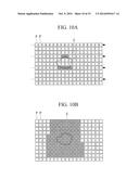 FLUORESCENCE OBSERVATION APPARATUS, FLUORESCENCE OBSERVATION METHOD AND     OPERATING METHOD OF FLUORESCENCE OBSERVATION APPARATUS diagram and image