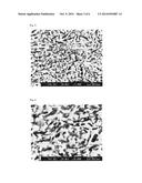 FEPT-C-BASED SPUTTERING TARGET AND PROCESS FOR PRODUCING THE SAME diagram and image