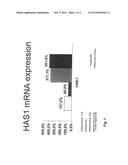 COSMETIC COMPOSITION FOR INCREASING HYALURONIC ACID SYNTHESIS IN SKIN AND     ITS USE FOR REPAIRING WRINKLES diagram and image