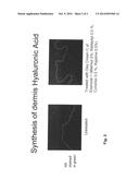 COSMETIC COMPOSITION FOR INCREASING HYALURONIC ACID SYNTHESIS IN SKIN AND     ITS USE FOR REPAIRING WRINKLES diagram and image