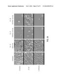 VITAMIN FUNCTIONALIZED GEL-FORMING BLOCK COPOLYMERS FOR BIOMEDICAL     APPLICATIONS diagram and image