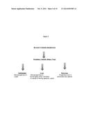 METHOD OF TREATING PANCREATIC AND LIVER CONDITIONS BY ENDOSCOPIC-MEDIATED     (OR LAPAROSCOPIC-MEDIATED) TRANSPLANTATION OF STEM CELLS INTO/ONTO BILE     DUCT WALLS OF PARTICULAR REGIONS OF THE BILIARY TREE diagram and image