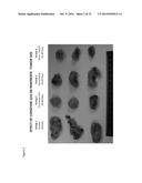 METHODS FOR THE TREATMENT OF CANCER USING COENZYME Q10 COMBINATION     THERAPIES diagram and image