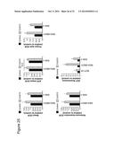 METHODS FOR THE TREATMENT OF CANCER USING COENZYME Q10 COMBINATION     THERAPIES diagram and image