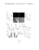 METHODS OF TREATING PERIODONTAL INFLAMMATION AND PERIODONTAL BONE LOSS diagram and image