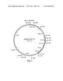 FC CONTAINING POLYPEPTIDES HAVING INCREASED ANTI-INFLAMMATORY PROPERTIES     AND INCREASED FCRN BINDING diagram and image