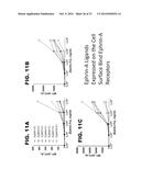 NOVEL MODULATORS AND METHODS OF USE diagram and image