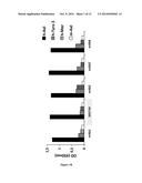 ANTI-AXL ANTIBODIES AND USES THEREOF diagram and image