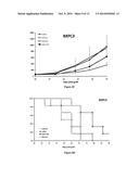 ANTI-AXL ANTIBODIES AND USES THEREOF diagram and image