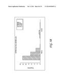 ANTI-GPR49 ANTIBODIES diagram and image