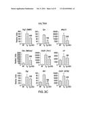 BIOMARKERS FOR TSLP TREATMENT diagram and image