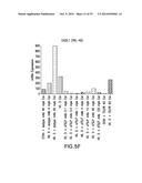 BIOMARKERS FOR TSLP TREATMENT diagram and image