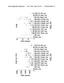 BIOMARKERS FOR TSLP TREATMENT diagram and image