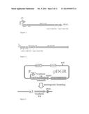 NON-NATURAL MIC PROTEINS diagram and image