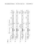 MUTANT REPLICON DERIVED FROM GENOME OF HEPATITIS C VIRUS J6CF STRAIN diagram and image