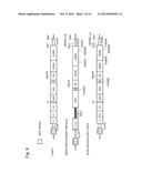 MUTANT REPLICON DERIVED FROM GENOME OF HEPATITIS C VIRUS J6CF STRAIN diagram and image