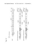 MUTANT REPLICON DERIVED FROM GENOME OF HEPATITIS C VIRUS J6CF STRAIN diagram and image