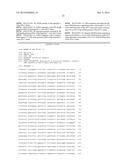 MUTANT REPLICON DERIVED FROM GENOME OF HEPATITIS C VIRUS J6CF STRAIN diagram and image