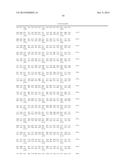 MUTANT REPLICON DERIVED FROM GENOME OF HEPATITIS C VIRUS J6CF STRAIN diagram and image