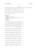 MUTANT REPLICON DERIVED FROM GENOME OF HEPATITIS C VIRUS J6CF STRAIN diagram and image