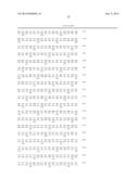 MUTANT REPLICON DERIVED FROM GENOME OF HEPATITIS C VIRUS J6CF STRAIN diagram and image