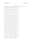 MUTANT REPLICON DERIVED FROM GENOME OF HEPATITIS C VIRUS J6CF STRAIN diagram and image