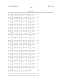 MUTANT REPLICON DERIVED FROM GENOME OF HEPATITIS C VIRUS J6CF STRAIN diagram and image