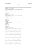 MUTANT REPLICON DERIVED FROM GENOME OF HEPATITIS C VIRUS J6CF STRAIN diagram and image