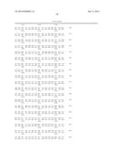 MUTANT REPLICON DERIVED FROM GENOME OF HEPATITIS C VIRUS J6CF STRAIN diagram and image