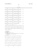 MUTANT REPLICON DERIVED FROM GENOME OF HEPATITIS C VIRUS J6CF STRAIN diagram and image