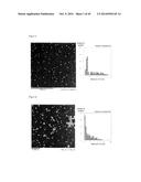 PHARMACEUTICAL COMPOSITION FOR TREATING CANCER USING CARBONATE APATITE     NANOPARTICLES diagram and image