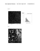 PHARMACEUTICAL COMPOSITION FOR TREATING CANCER USING CARBONATE APATITE     NANOPARTICLES diagram and image