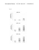 PHARMACEUTICAL COMPOSITION FOR TREATING CANCER USING CARBONATE APATITE     NANOPARTICLES diagram and image